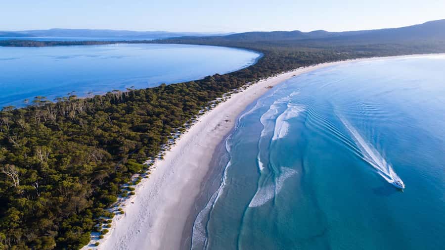 From Hobart: Day Tour to Maria Island with Bus Connection - Darlington and the convict buildings: history you can stand inside