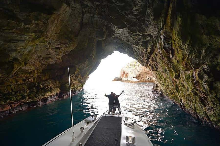 From Hobart: Day Tour to Maria Island with Bus Connection - Should you book this Maria Island day trip?