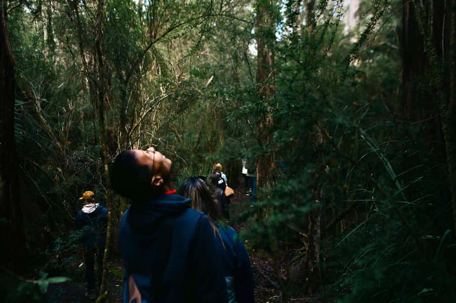 From Hobart: Full-Day Bruny Island Tour with Guide - Key highlights worth marking on your map