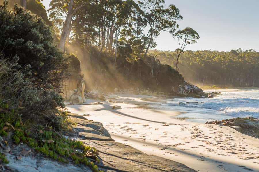 From Hobart: Full-Day Bruny Island Tour with Guide - Why Bruny Island feels like a full Tasmania day in miniature