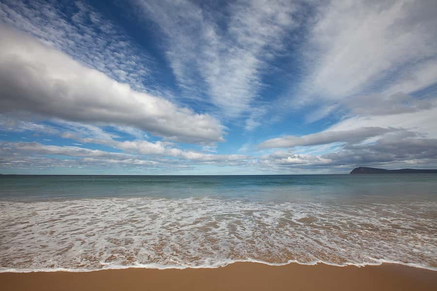 From Hobart: Full-Day Bruny Island Tour with Guide - Wallaby spotting and wildlife etiquette on Bruny