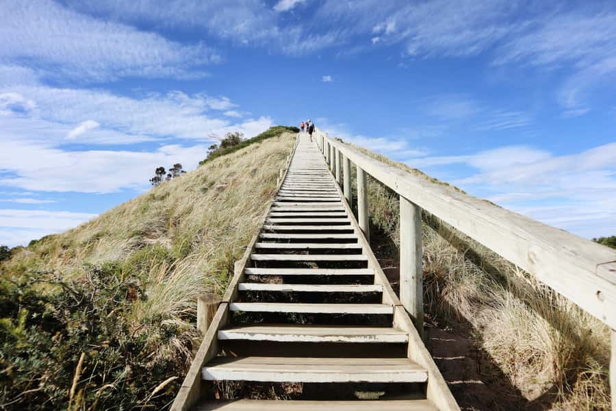 From Hobart: Full-Day Bruny Island Tour with Guide - Award-winning produce tasting: honey, chocolate fudge, and oysters