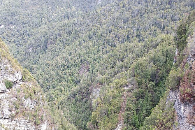 From Hobart: Gordon Dam and Lake Pedder Wilderness Day Tour - Gordon Dam crossing: Australia’s highest arch dam, and you’ll feel it