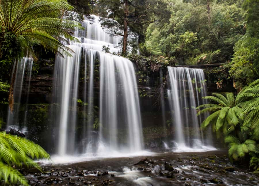 From Hobart: Mt. Field National Park and Russell Falls - How the day starts in Hobart and why that drive matters