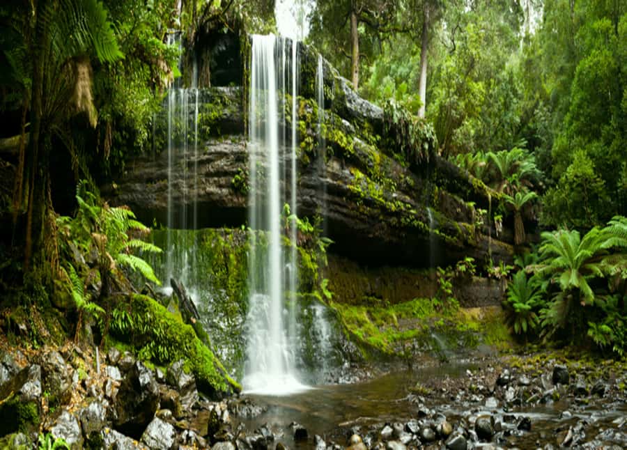 From Hobart: Mt. Field National Park and Russell Falls - Price and value: what you’re really paying for at about $127