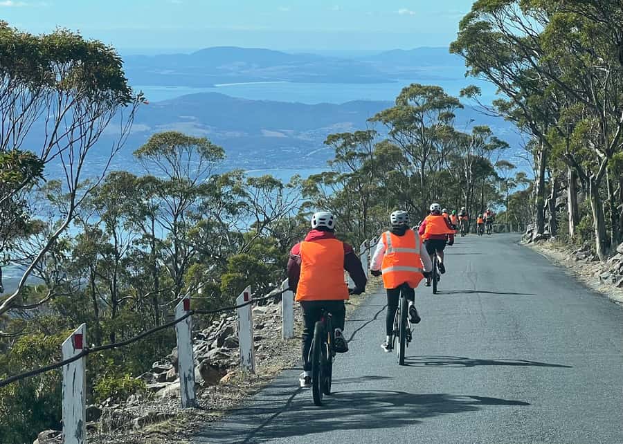From Hobart: Mt Wellington Summit & Rainforest Bike Tour - Rainforest riding: eucalyptus, giant ferns, waterfalls, and aqueducts