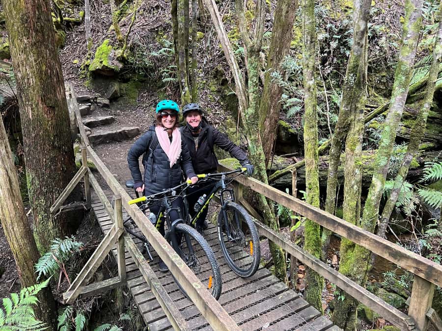 From Hobart: Mt Wellington Summit & Rainforest Bike Tour - Coffee break and snacks: the small reset that keeps it fun