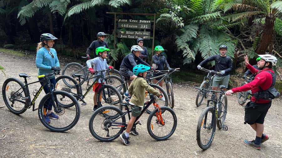 From Hobart: Mt Wellington Summit & Rainforest Bike Tour - Price and value: is $119 for four hours fair?
