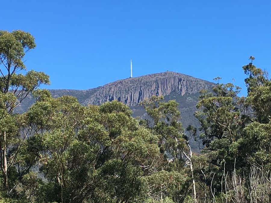 From Hobart: Mt Wellington Summit & Rainforest Bike Tour - Who should book this Mt Wellington bike tour
