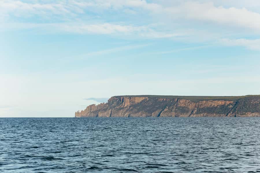 From Port Arthur: Tasman Island Wilderness Cruise - Should you book the Tasman Island Wilderness Cruise?