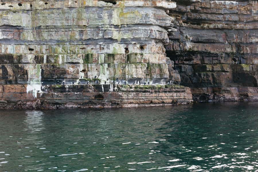 From Port Arthur: Tasman Island Wilderness Cruise - The boat setup: open-air tiered seating and close viewing