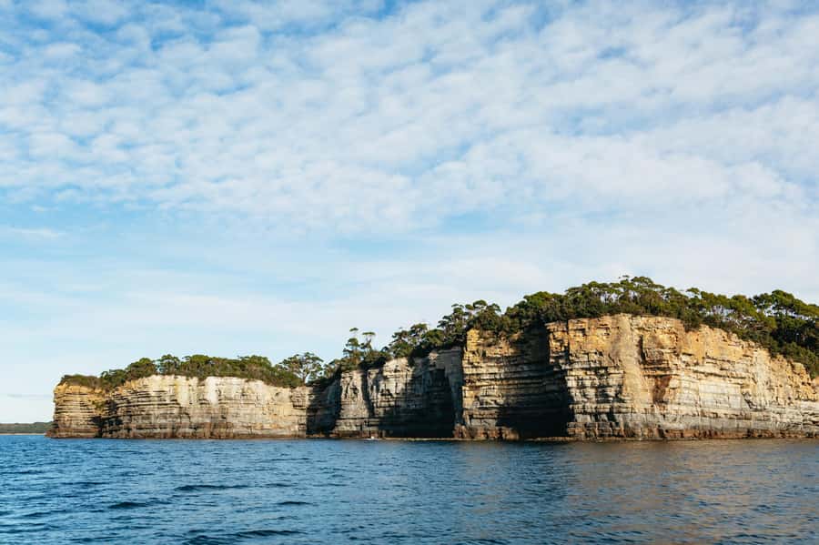From Port Arthur: Tasman Island Wilderness Cruise - What the cruise is like in practice (timing, pace, and comfort)