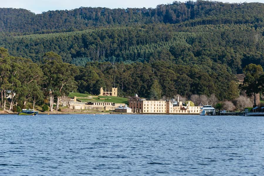 From Port Arthur: Tasman Island Wilderness Cruise - Guides and the “how” behind the scenes