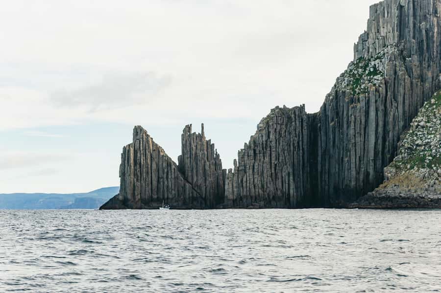 From Port Arthur: Tasman Island Wilderness Cruise - Price and value: what you’re paying for (and what you’re not)