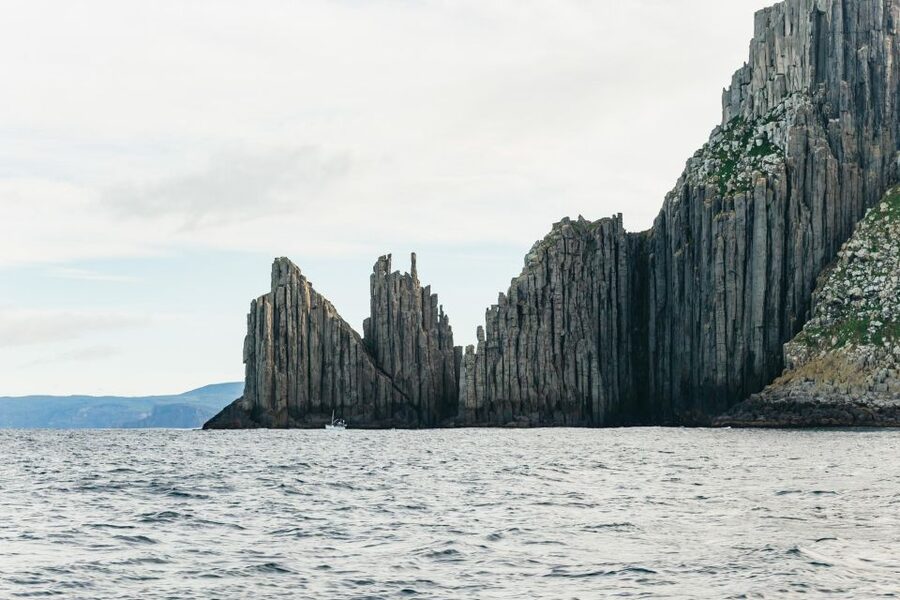 From Port Arthur: Tasman Island Wilderness Cruise - Who this cruise suits best