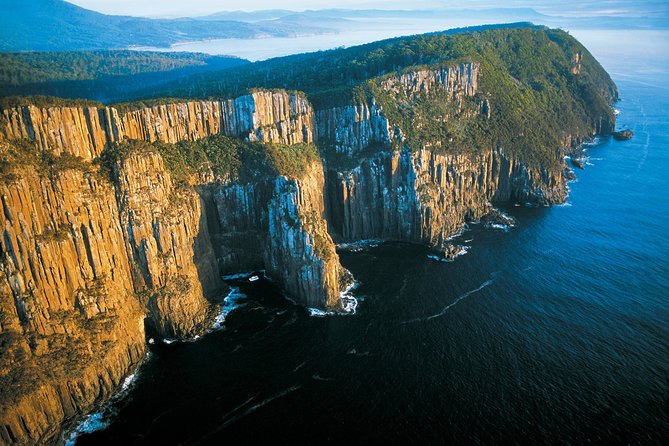 Full-Day Bruny Island Cruises Day Tour from Hobart - The 3-hour wilderness cruise: sea caves, cliffs, and real wildlife odds