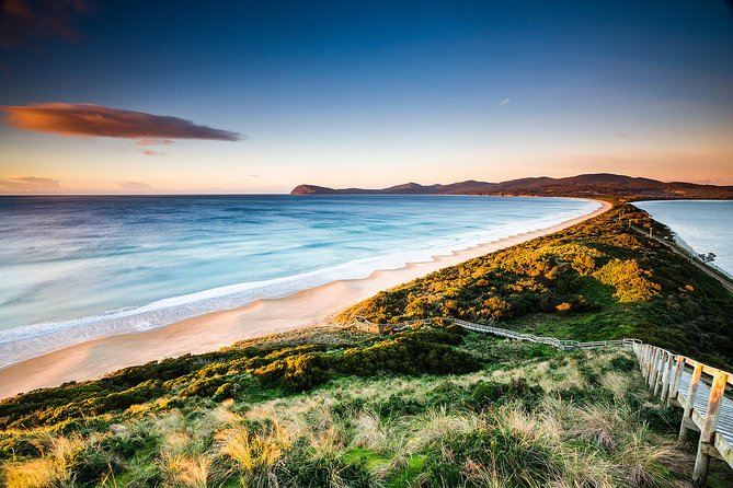 Full-Day Guided Bruny Island Tour from Hobart - Entering Bruny Island: What the Day Feels Like