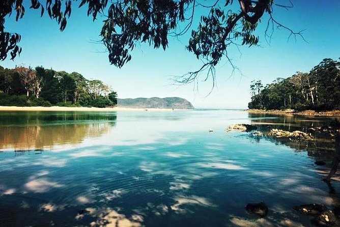 Full-Day Guided Bruny Island Tour from Hobart - Getting from Hobart to Bruny: Pickup, ferry time, and pacing