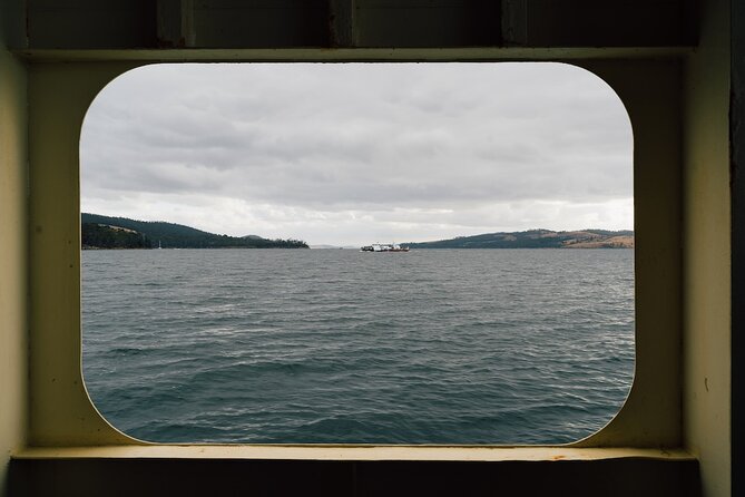 Full-Day Guided Bruny Island Tour from Hobart - Mavista rainforest walk: short, scenic, and worth the shoes