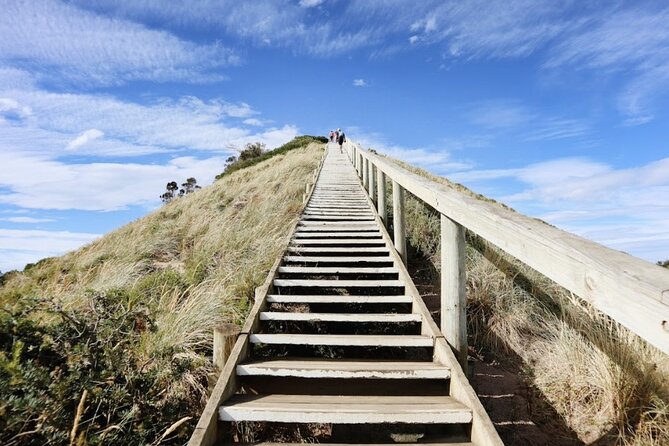 Full-Day Guided Bruny Island Tour from Hobart - Walking, weather, and what you should pack