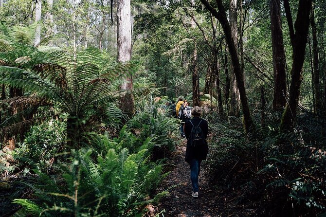 Full-Day Guided Bruny Island Tour from Hobart - Who this tour suits best (and who might want a different plan)