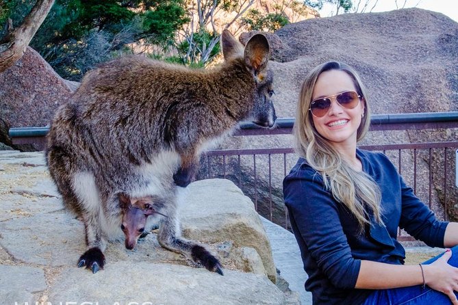 Full-Day Tour to Wineglass Bay from Hobart - Coles Bay and the approach: sea-level views before the main walk