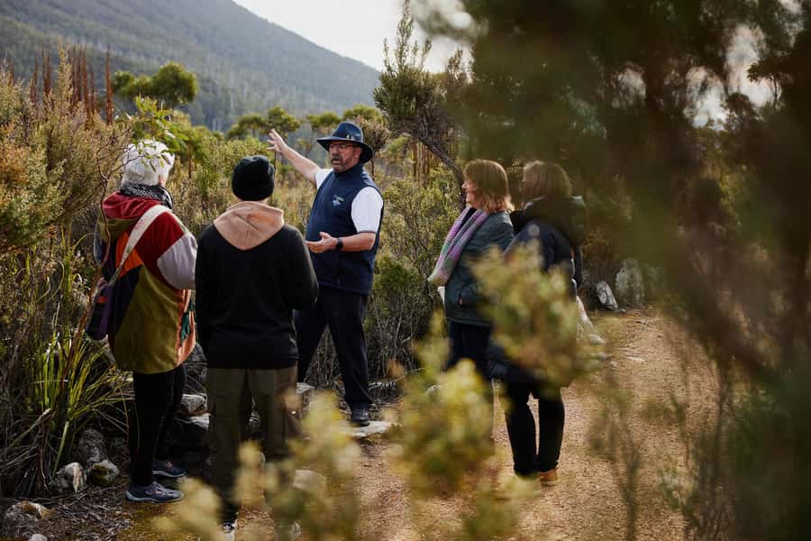 Grand Hobart & Richmond Full-Day Tour - Hobart highlights tour: what the guided stops actually do for you