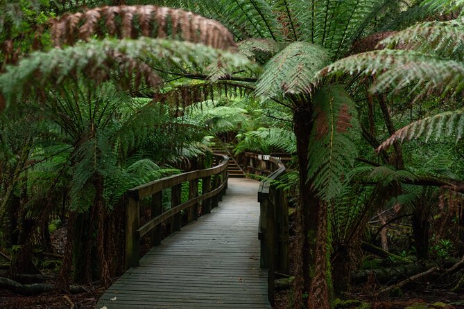 Hastings Caves, Tahune Airwalk and the Huon Tasting Trail - The Huon Tasting Trail Finish: Cider Paddle and Apple Pie After Caves