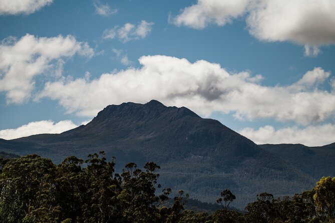 Hastings Caves, Tahune Airwalk and the Huon Tasting Trail - What the Guides Add (and Why It Feels Different Than DIY)
