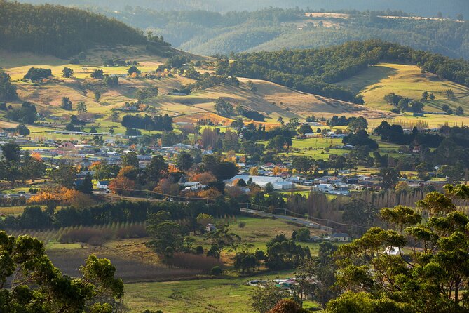 Hastings Caves, Tahune Airwalk and the Huon Tasting Trail - Walking, Steps, and Timing: How to Tell If This Tour Fits You