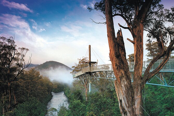 Hastings Caves, Tahune Airwalk and the Huon Tasting Trail - Early Start: Pickup at 7:45 and a Smooth Huonville Morning