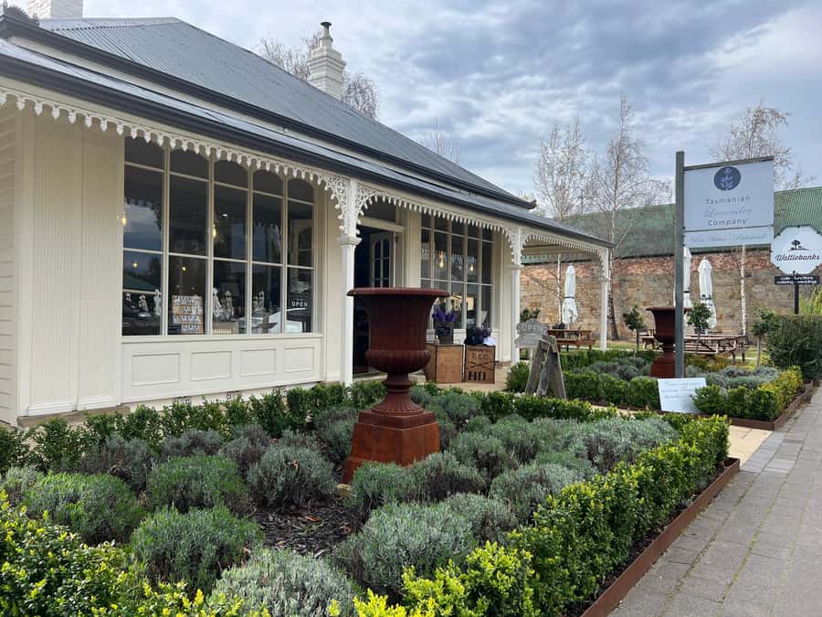 Historic Richmond Village Half-Day Coach Tour - Key things you’ll enjoy on this Richmond half-day