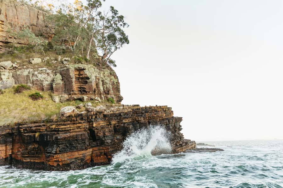 Hobart: 2.5-hour Iron Pot Lighthouse Cruise - Betsey Island, Sea Birds, and the Southern Ocean Feel