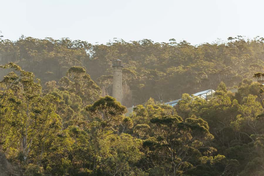 Hobart: 2.5-hour Iron Pot Lighthouse Cruise - Price and Value: Is $102 a Good Deal for 2.5 Hours?