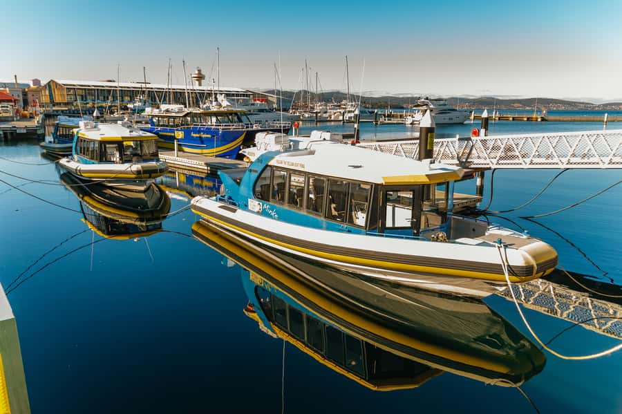 Hobart: 2.5-hour Iron Pot Lighthouse Cruise - Derwent River Views That Make Hobart Make Sense