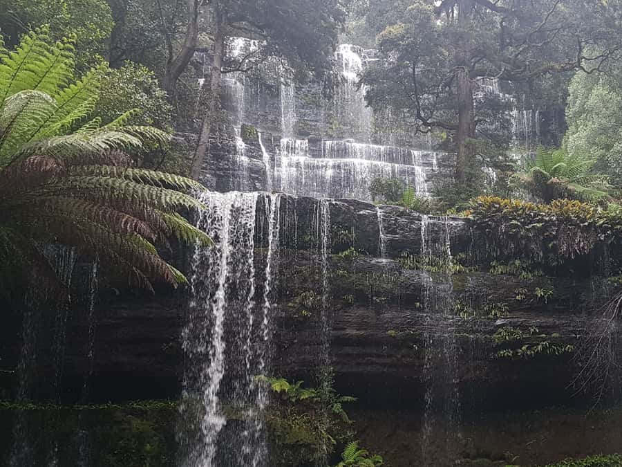 Hobart: 4 Day Wild Tasmania Tour - Why This Hobart-to-Coasts Tasmania Plan Makes Sense