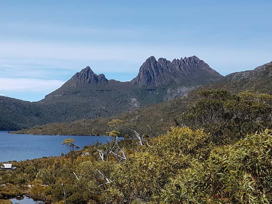 Hobart: 4 Day Wild Tasmania Tour - Russell Falls and the Plateaus: Your First Tasmania Nature Payoff