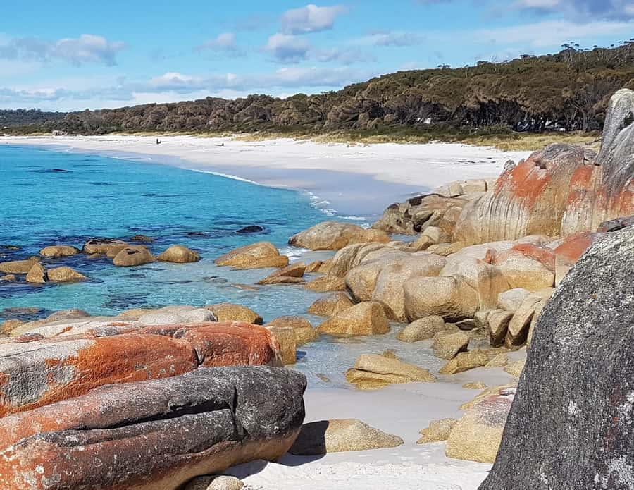 Hobart: 4 Day Wild Tasmania Tour - Cradle Mountain National Park, Wombat-Spotting, and Shuttle Time