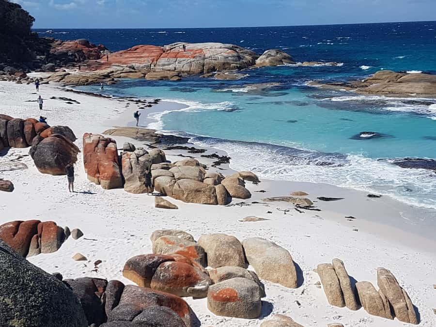 Hobart: 4 Day Wild Tasmania Tour - The Van, the Timing, and the Real Comfort of a Max-13 Tour