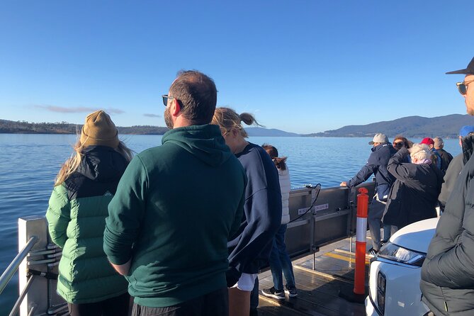 Hobart: Bruny Island Adventure: Hiking, Highlights & Local tastes - The Neck and Trugannini Lookout: stairs, winds, and the best timing