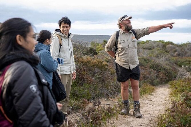 Hobart: Bruny Island Adventure: Hiking, Highlights & Local tastes - Guides and small-group pacing: why the human factor matters