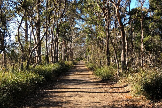 Hobart: Bruny Island Adventure: Hiking, Highlights & Local tastes - Price and value: what you’re really getting for $118.35