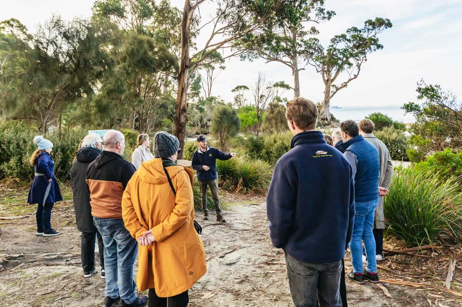 Hobart: Bruny Island Gourmet Sightseeing Day Tour - The gourmet start: cheese, beer, and the kind of tasting that builds your appetite