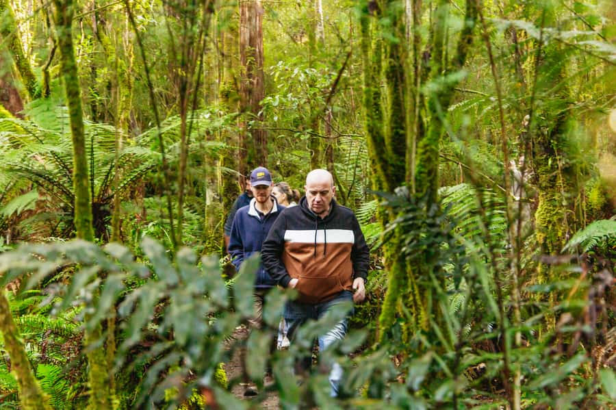 Hobart: Bruny Island Gourmet Sightseeing Day Tour - Bligh Museum entry: island history without turning the day into a classroom