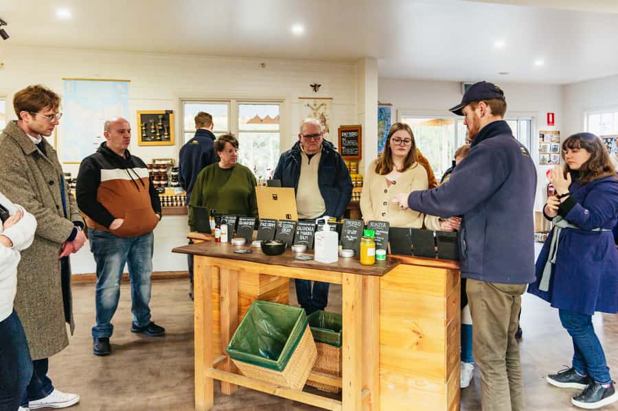 Hobart: Bruny Island Gourmet Sightseeing Day Tour - Pennicott’s beachside lunch at Adventure Bay: oysters plus two drinks, planned well