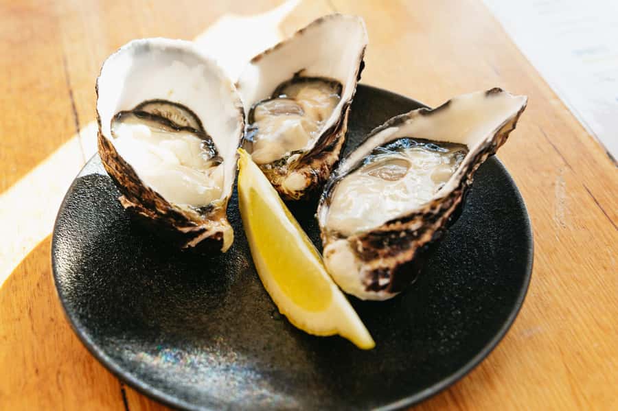 Hobart: Bruny Island Gourmet Sightseeing Day Tour - Who should book this Bruny Island Gourmet Day Tour?