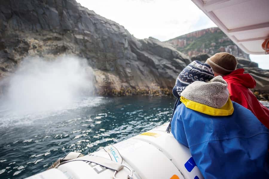 Hobart: Bruny Island Wilderness Coast Eco Cruise with Lunch - The 3-hour coastal wilderness cruise: Sea caves, cliff passages, and the real feel of the coast