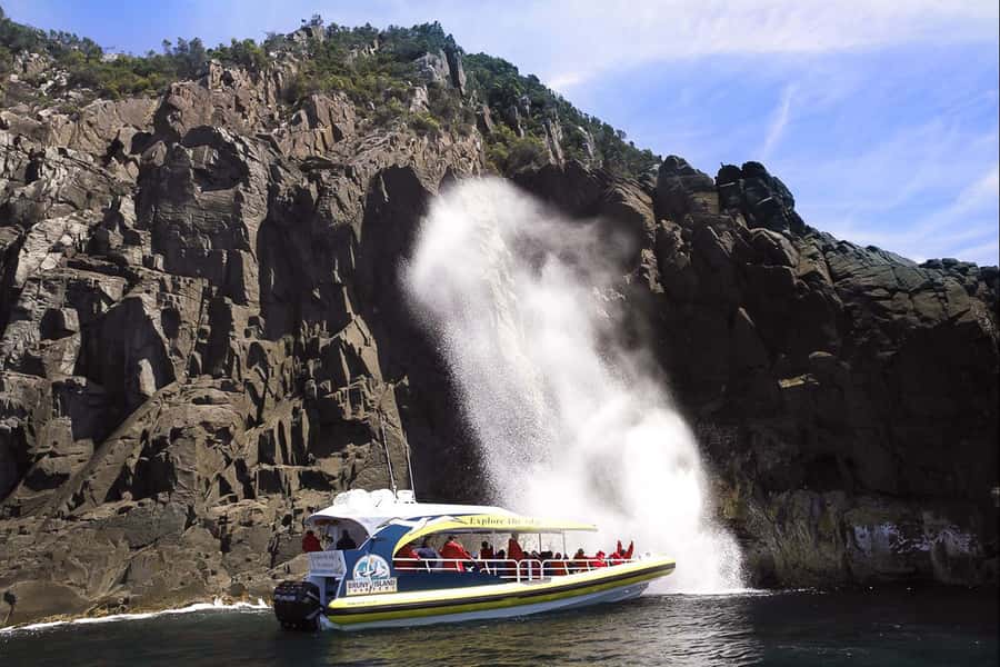 Hobart: Bruny Island Wilderness Coast Eco Cruise with Lunch - Price and value at $194: What you’re paying for (and what you’re not)