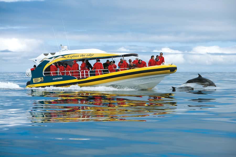 Hobart: Bruny Island Wilderness Coast Eco Cruise with Lunch - Friar Rocks and Breathing Rock: The wildlife-and-geology combo