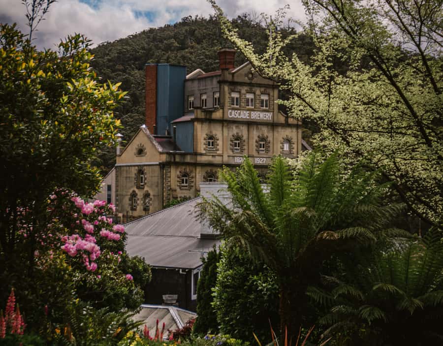Hobart: Cascade Brewery Historic Tour - Your Guide: Enthusiasm Plus Clear Explanations in English